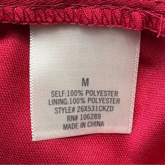 NWT Francesca's Collections Mi Ami Swiss Dot Tiered Mini Dress M Red Chiffon - Picture 13 of 15